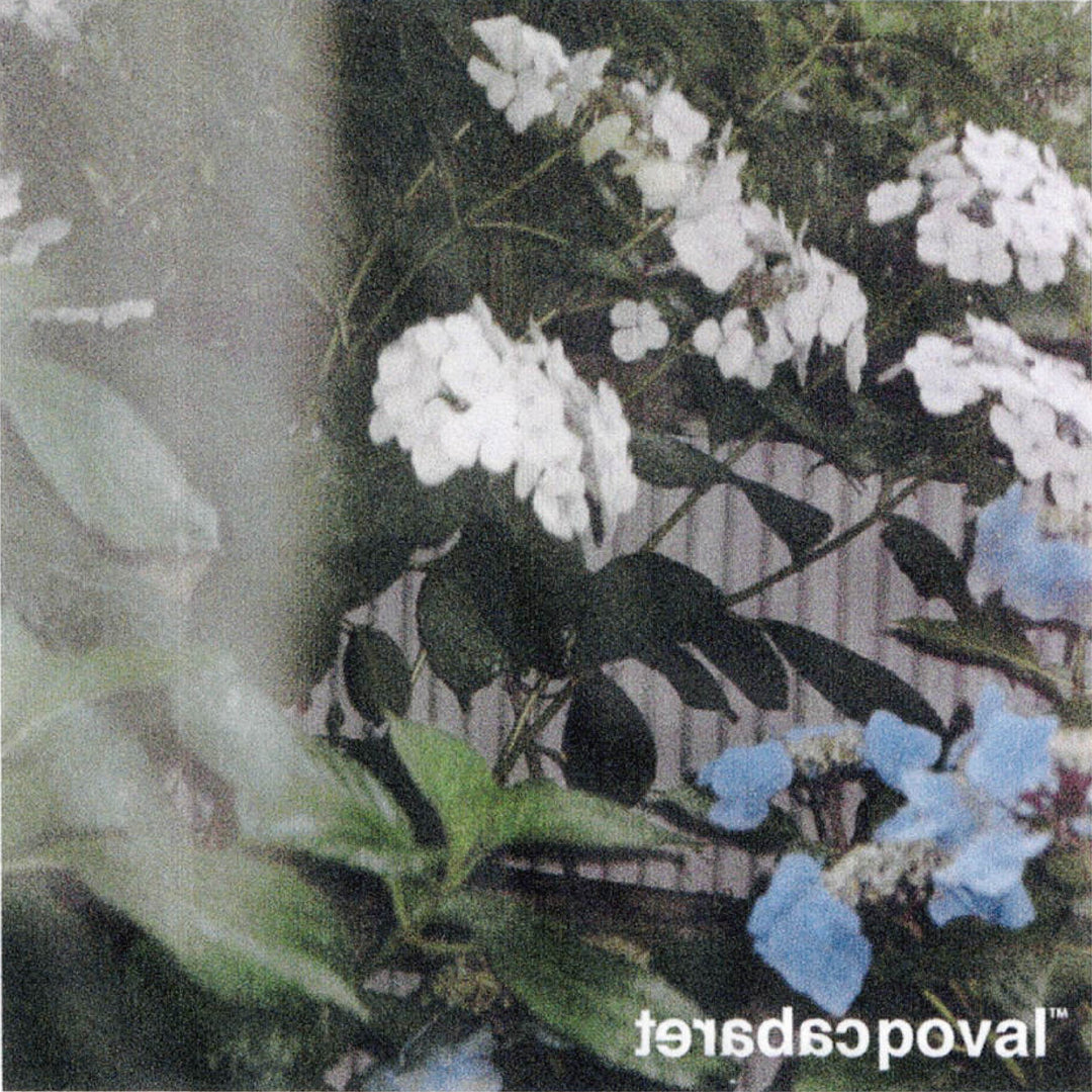 AW26-PVA003 Playlist for Late Summer