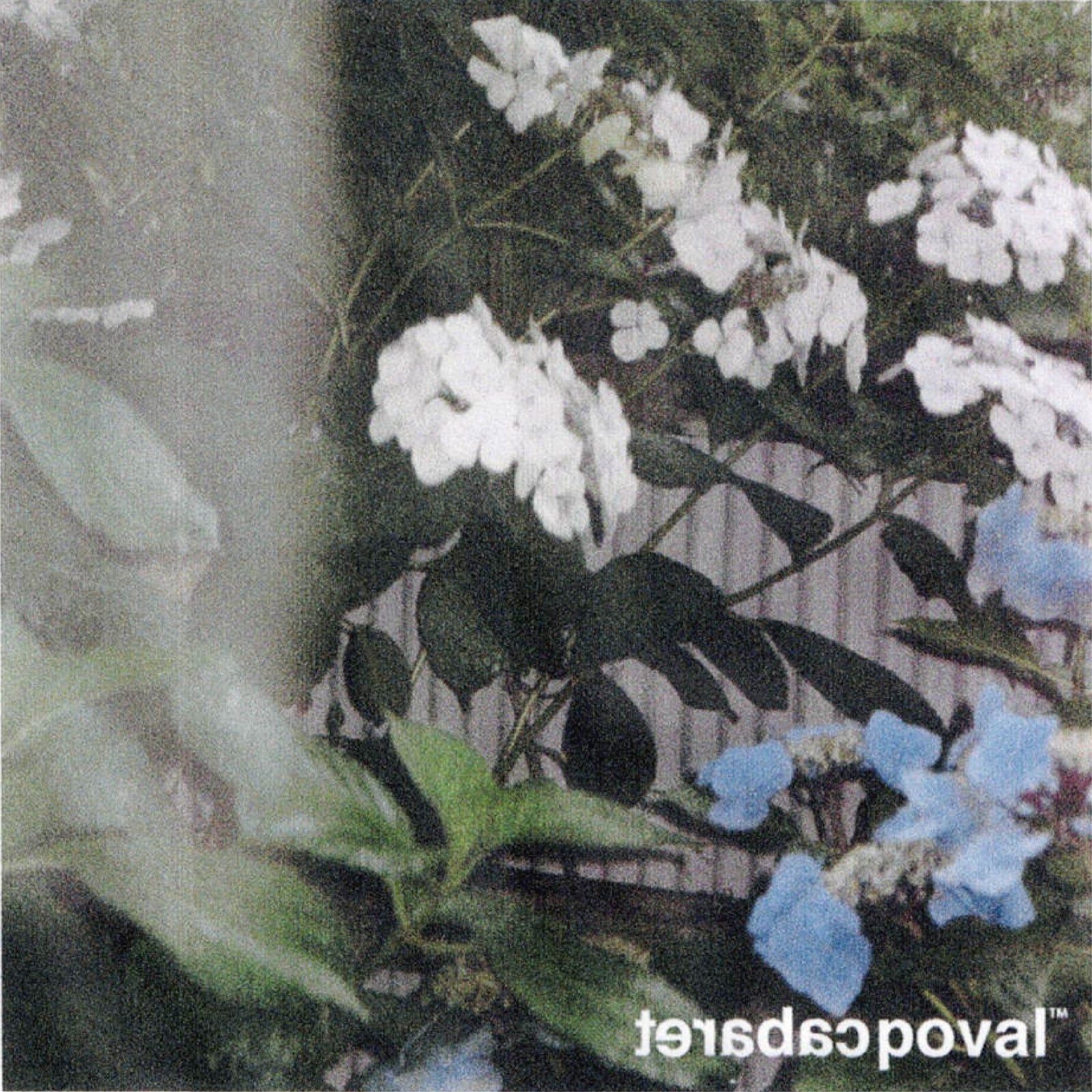 AW26-PVA003 Playlist for Late Summer